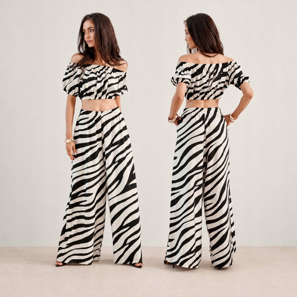 Zebra czarno-biała wariant, zdjęcie główne