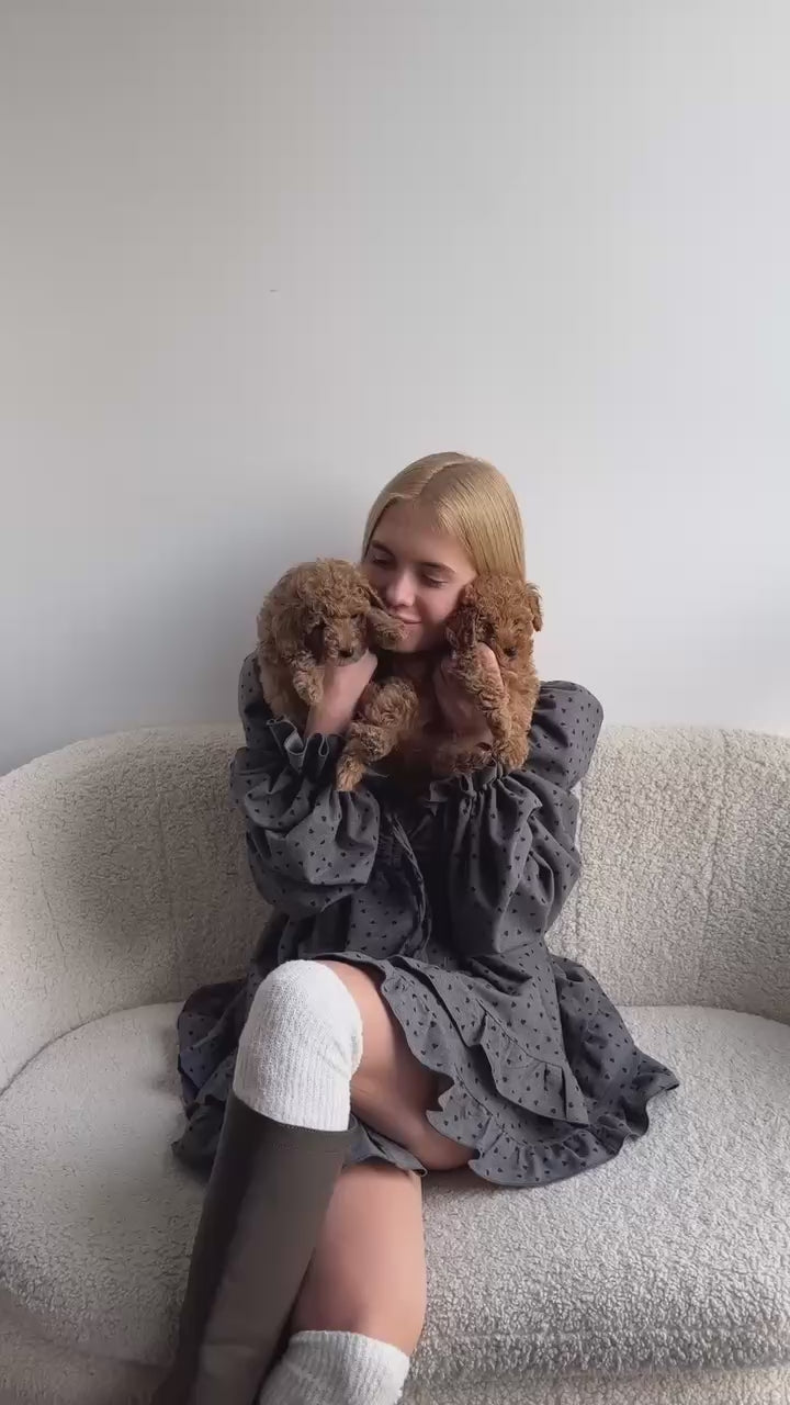 Szary — sukienka mini w serduszka z bufiastymi rękawami, film